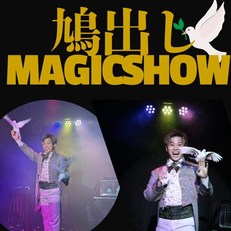 兵庫県イベントへ 鳩出ししマジックショー