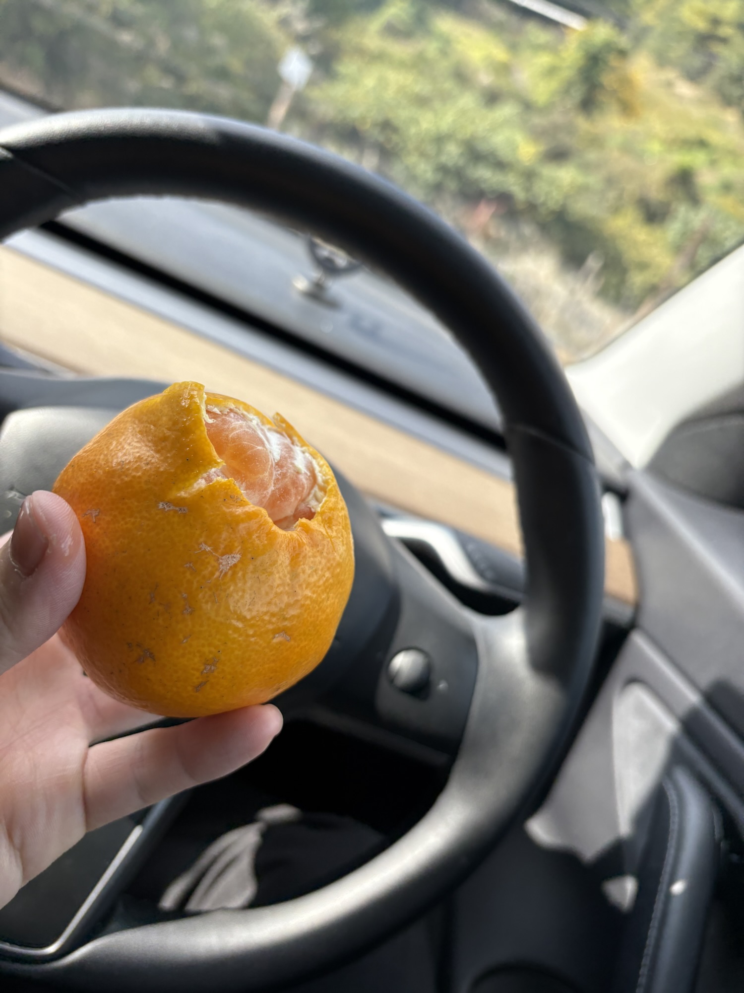  園児からもらったみかん